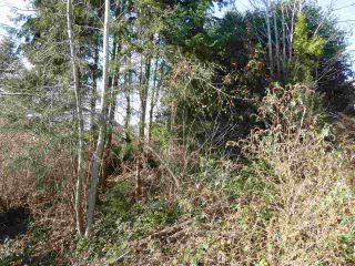 Photo 7: Lot 20 S FLETCHER Road in Gibsons: Gibsons & Area Land for sale (Sunshine Coast)  : MLS®# R2136567