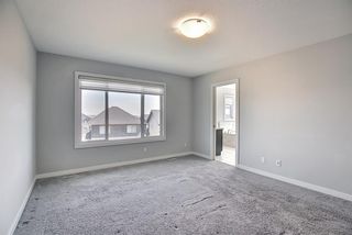 Photo 26: 163 Nolancrest Rise NW in Calgary: Nolan Hill Detached for sale : MLS®# A1125952