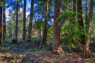 Photo 17: Lot 61 PANORAMA Drive in Garden Bay: Pender Harbour Egmont Land for sale in "PANORAMA DRIVE" (Sunshine Coast)  : MLS®# R2667415