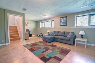Photo 11: 7140 Temple Drive NE in Calgary: Temple Detached for sale : MLS®# A1232914