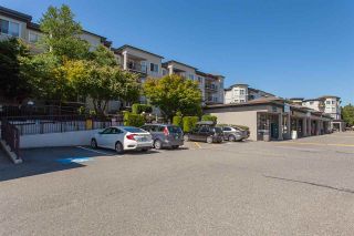 Photo 19: 110 5759 GLOVER Road in Langley: Langley City Condo for sale in "College Court" : MLS®# R2297215