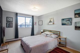 Photo 12: 305 2734 17 Avenue SW in Calgary: Shaganappi Apartment for sale : MLS®# A2054151
