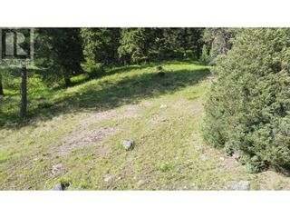 Photo 11: 40 Acres Shuswap River Drive in Lumby: Vacant Land for sale : MLS®# 10268876