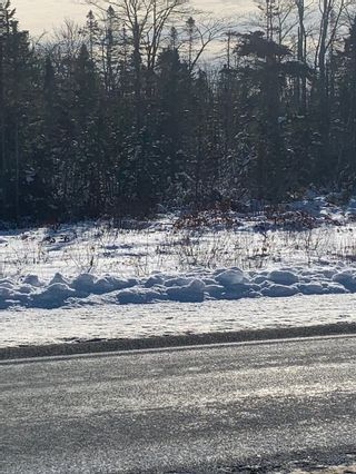 Photo 1: Acreage Highway 103 in Beaver Dam: 407-Shelburne County Vacant Land for sale (South Shore)  : MLS®# 202102356