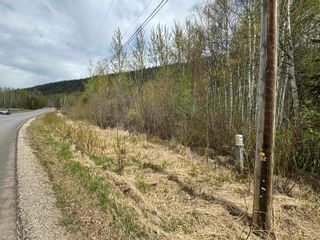 Photo 21: 2880 MOUNTAIN VIEW Road in McBride: McBride - Town Land for sale (Robson Valley)  : MLS®# R2879829