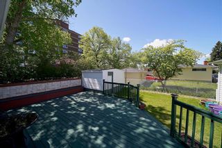 Photo 36: 22 Vanier Drive in Winnipeg: Garden City Residential for sale (4G)  : MLS®# 202212653