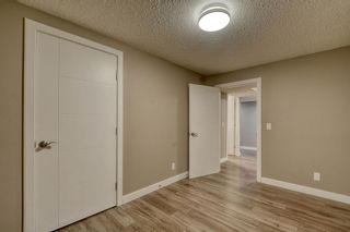 Photo 37: 79 Rundlefield Close NE in Calgary: Rundle Detached for sale : MLS®# A1040501