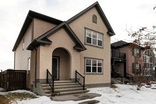 Main Photo: 111 Elgin Terrace SE in Calgary: McKenzie Towne Detached for sale : MLS®# A1170822