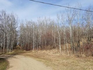 Photo 4: Lakeview Drive: Rural Camrose County Residential Land for sale : MLS®# A2129369