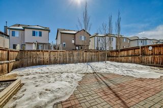 Photo 37: 31 Everwoods Park SW in Calgary: Evergreen Detached for sale : MLS®# A2034454