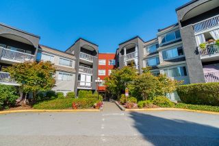 Photo 1: 314 5700 200 Street in Langley: Langley City Condo for sale in "Langley Village" : MLS®# R2722032