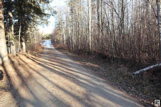 Photo 30: 274043 TWP RD 480: Rural Wetaskiwin County House for sale : MLS®# E4366610