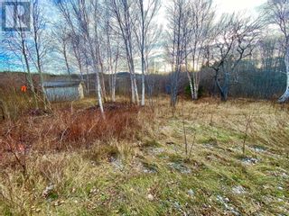 Photo 18: 2 Pond Road in Embree: Vacant Land for sale : MLS®# 1253818