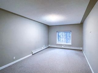 Photo 6: 111 10 Discovery Ridge Close SW in Calgary: Discovery Ridge Apartment for sale : MLS®# A1051537