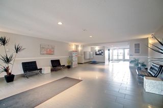 Photo 32: 102 6703 New Brighton Avenue SE in Calgary: New Brighton Apartment for sale : MLS®# A1215599