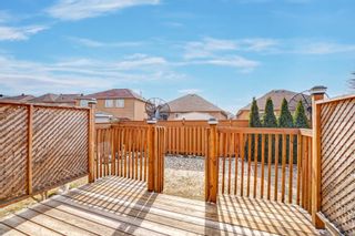 Photo 27: 10 Suncrest Drive in Brampton: Freehold for sale : MLS®# W5555640