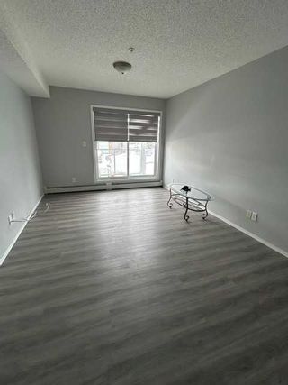 Photo 15: 118 92 Saddletree Court NE in Calgary: Saddle Ridge Apartment for sale : MLS®# A2121337