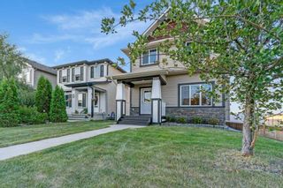 Photo 36: 387 Copperpond Boulevard SE in Calgary: Copperfield Detached for sale : MLS®# A2069837