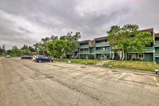 Photo 37: 1206 315 Southampton Drive SW in Calgary: Southwood Apartment for sale : MLS®# A2053655