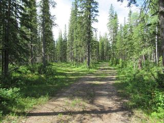 Photo 7: 70041 Highway 591: Rural Clearwater County Detached for sale : MLS®# C4305359
