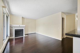 Photo 11: 203 305 25 Avenue SW in Calgary: Mission Apartment for sale : MLS®# A2044945