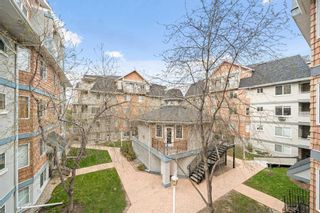 Photo 23: 301 2419 Erlton Road SW in Calgary: Erlton Apartment for sale : MLS®# A2126322