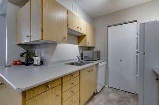 Photo 4: 104B 7301 4A Street SW in Calgary: Kingsland Apartment for sale : MLS®# A2035581