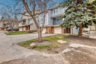Photo 3: 65 Millrise Lane SW in Calgary: Millrise Semi Detached (Half Duplex) for sale : MLS®# A2124956