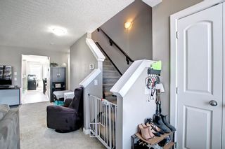 Photo 30: 180 Evanspark Gardens NW in Calgary: Evanston Detached for sale : MLS®# A1144783