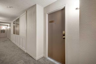 Photo 26: 1003 1334 13 Avenue SW in Calgary: Beltline Apartment for sale : MLS®# A2125900