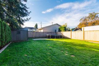 Photo 33: 20806 52A Avenue in Langley: Langley City 1/2 Duplex for sale : MLS®# R2518215