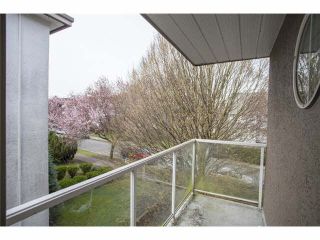 Photo 15: 301 1126 W 11TH Avenue in Vancouver: Fairview VW Condo for sale in "FAIRVIEW" (Vancouver West)  : MLS®# V1110622