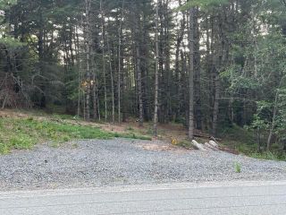 Photo 1: Lot Highway 210 in Greenfield: 406-Queens County Vacant Land for sale (South Shore)  : MLS®# 202316302