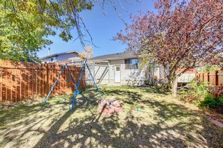 Photo 31: 107 Castlebrook Drive NE in Calgary: Castleridge Detached for sale : MLS®# A2003208