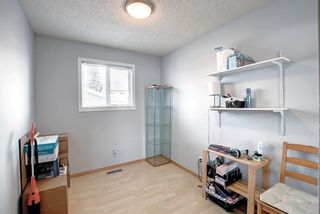 Photo 14: 28 Abbercove Drive SE in Calgary: Abbeydale Detached for sale : MLS®# A1240781