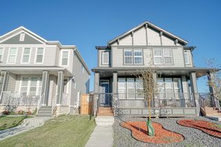 Photo 1: 20 Cornerbrook Gate NE in Calgary: Cornerstone Semi Detached (Half Duplex) for sale : MLS®# A1258791