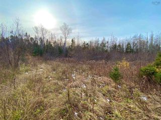 Photo 4: 7758 Highway 4 in River Bourgeois: 305-Richmond County / St. Peters Vacant Land for sale (Highland Region)  : MLS®# 202401689