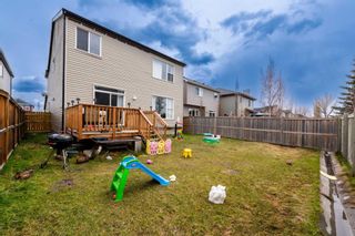 Photo 43: 9 Copperpond Link SE, Copperfield, Calgary, MLS® A2127671