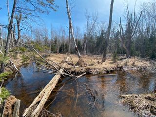 Photo 11: Lot 22 Lakeside Drive in Little Harbour: 108-Rural Pictou County Vacant Land for sale (Northern Region)  : MLS®# 202207910