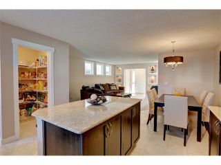 Photo 10: 22 SKYVIEW POINT Link NE in Calgary: Skyview Ranch House for sale : MLS®# C4019553