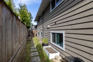 Photo 35: 4551 206 Street in Langley: Langley City House for sale in "Mossey Estates" : MLS®# R2829281