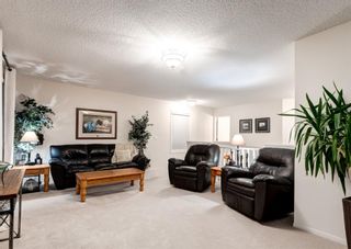 Photo 29: 248 EVANSBROOKE Way NW in Calgary: Evanston Detached for sale : MLS®# A1221592