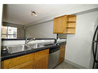 Photo 7: 206 355 5 Avenue NE in CALGARY: Crescent Heights Condo for sale (Calgary)  : MLS®# C3560016