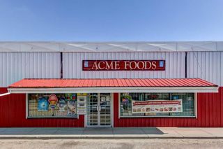 Photo 34: 224 ALLISON Street: Acme Detached for sale : MLS®# A2068478