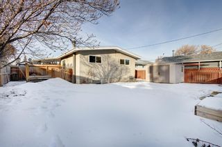 Photo 27: 639 Agate Crescent SE in Calgary: Acadia Detached for sale : MLS®# A2019203
