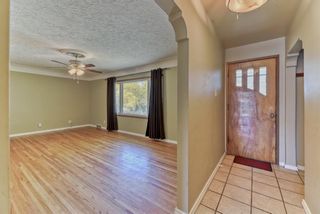 Photo 10: 904 36 Street NW in Calgary: Parkdale Detached for sale : MLS®# A1150460