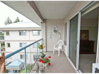 Photo 15: 303 33090 GEORGE FERGUSON Way in Abbotsford: Central Abbotsford Condo for sale in "Tiffany Place" : MLS®# F1425343