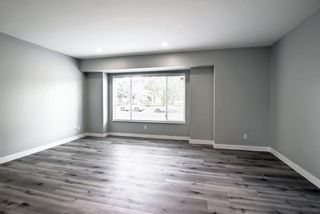 Photo 11: 137 Martindale Drive NE in Calgary: Martindale Detached for sale : MLS®# A1258147