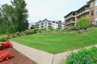 Photo 28: 318 22611 116 Avenue in Maple Ridge: East Central Condo for sale in "ROSEWOOD COURT-FRASERVIEW" : MLS®# R2882360