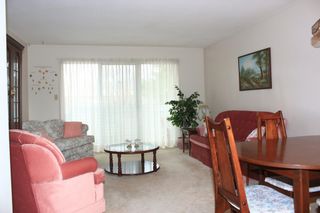 Photo 9: 210 32823 LANDEAU Place in Abbotsford: Central Abbotsford Condo for sale : MLS®# F1206784